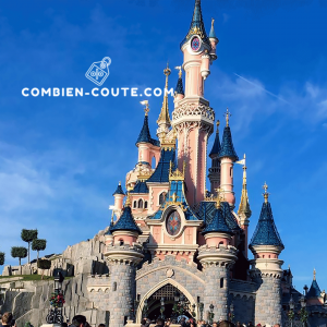 l'entrée à Disneyland