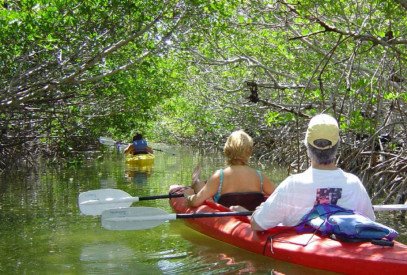 key west lazy dog kayak eco tour